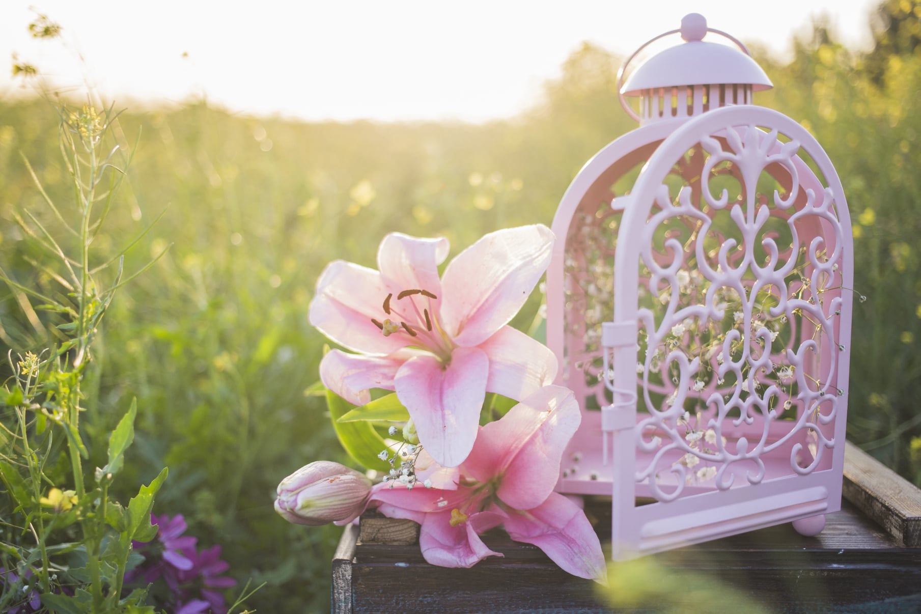 ψυχολόγος Ελευσίνα